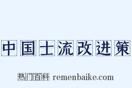 中国士流改进策是什么意思的图片